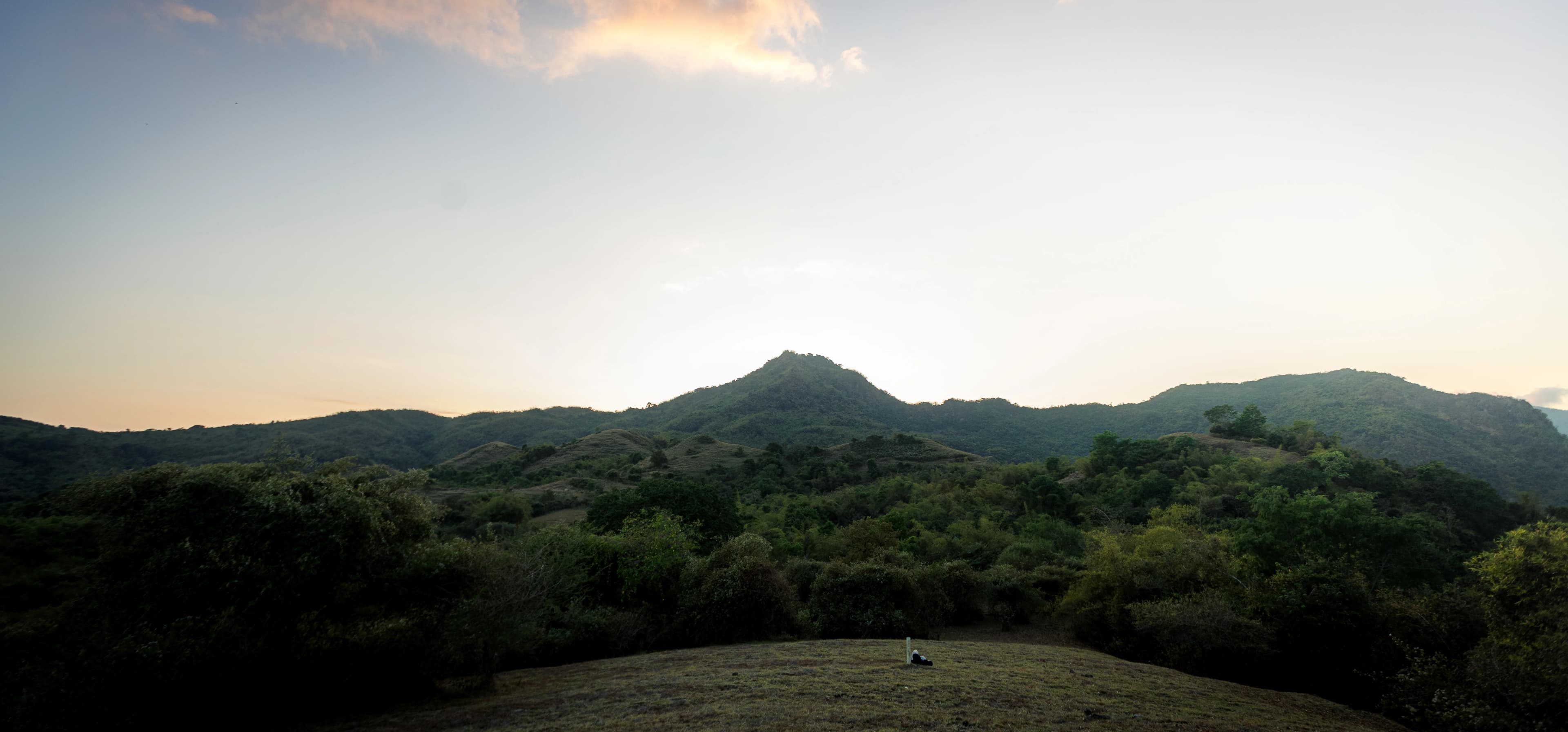 Savana keemasan